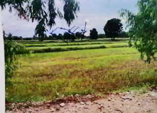 รูปที่ดินว่างเปล่า ห้วยบง เมืองชัยภูมิ ชัยภูมิ