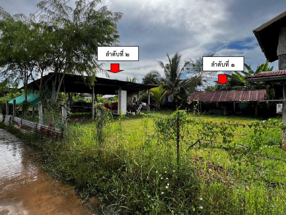 รูปที่ดินพร้อมสิ่งปลูกสร้าง ศรีสุข สีชมพู ขอนแก่น