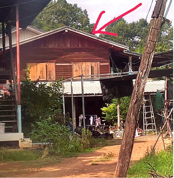 รูปที่ดินพร้อมสิ่งปลูกสร้าง ดงขุย ชนแดน เพชรบูรณ์