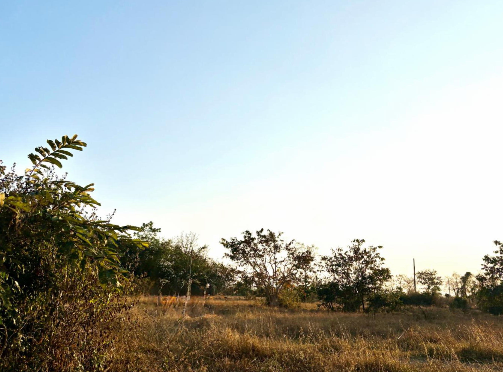 รูปที่ดินว่างเปล่า บ้านธิ บ้านธิ ลำพูน