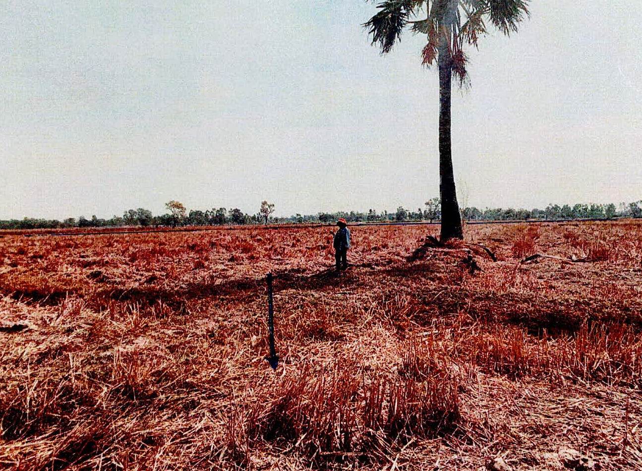 รูปที่ดินว่างเปล่า หนองขวาว ศีขรภูมิ สุรินทร์