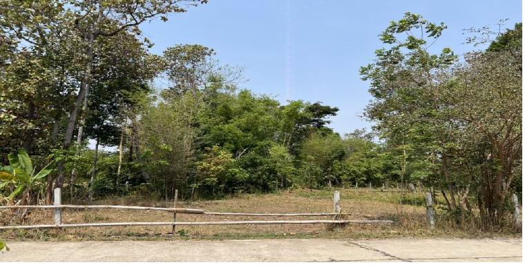 รูปที่ดินว่างเปล่า เปือย ลืออำนาจ อำนาจเจริญ