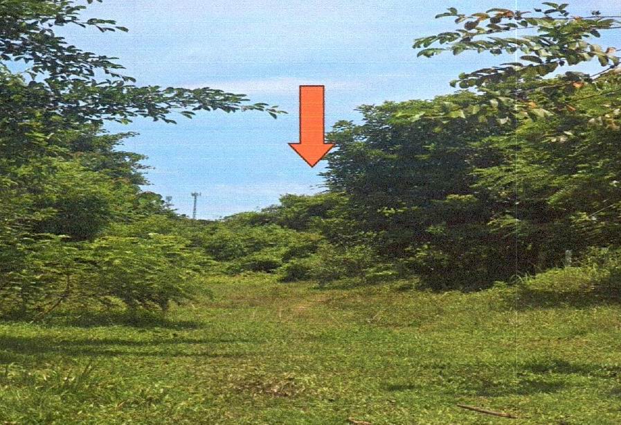 รูปที่ดินว่างเปล่า สุไหงโก-ลก สุไหงโก-ลก นราธิวาส