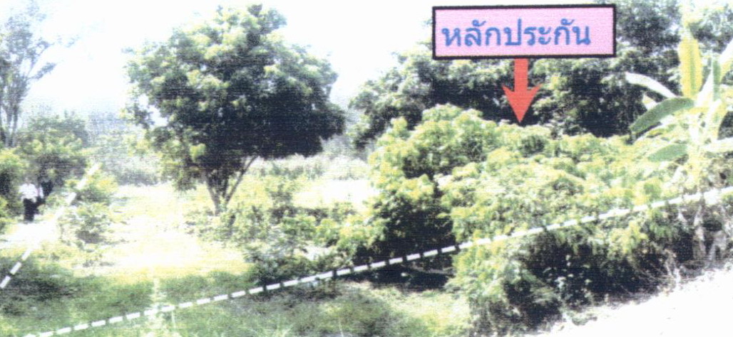 รูปที่ดินว่างเปล่า อาฮี ท่าลี่ เลย