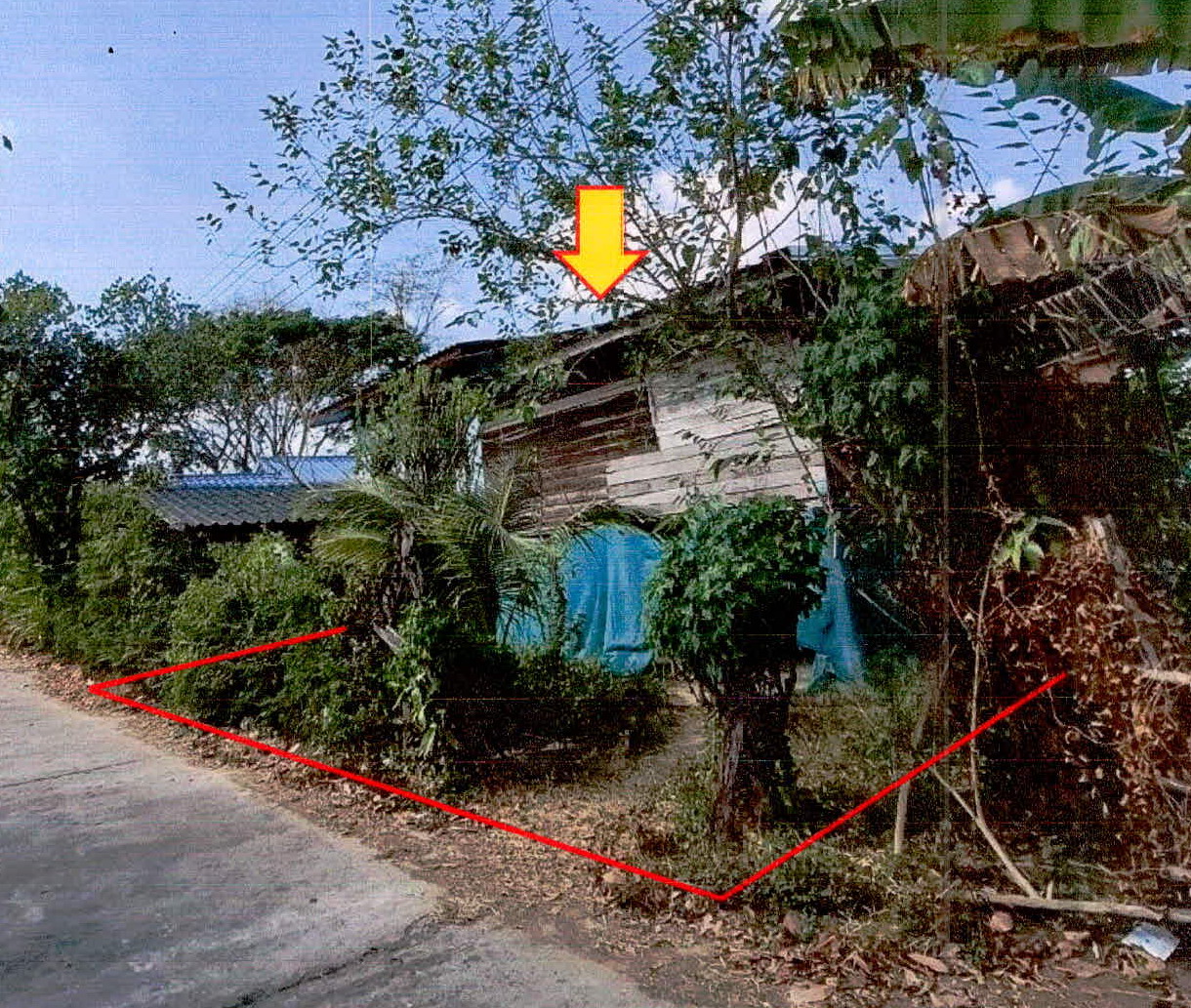 รูปที่ดินพร้อมสิ่งปลูกสร้าง ตำแย พยุห์ ศรีสะเกษ