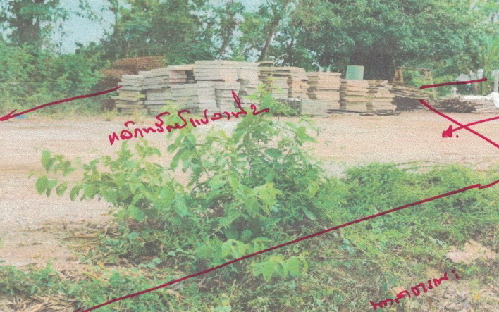 รูปที่ดินว่างเปล่า เวียงยอง เมืองลำพูน ลำพูน