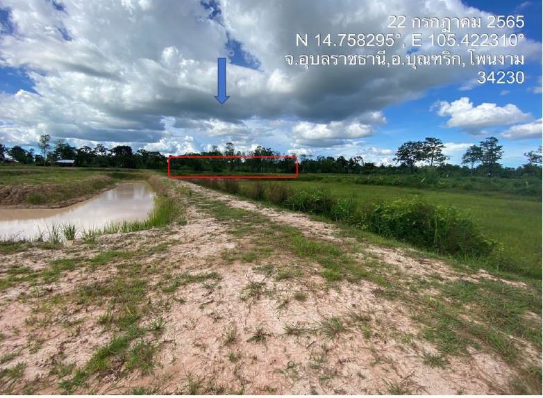 รูปที่ดินว่างเปล่า โพนงาม บุณฑริก อุบลราชธานี