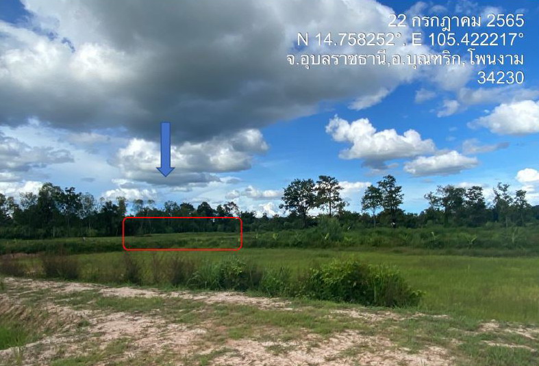 รูปที่ดินว่างเปล่า โพนงาม บุณฑริก อุบลราชธานี