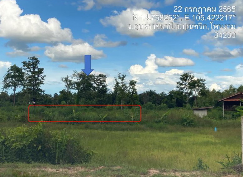 รูปที่ดินว่างเปล่า โพนงาม บุณฑริก อุบลราชธานี
