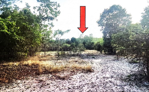รูปที่ดินว่างเปล่า แก่งโดม สว่างวีระวงศ์ อุบลราชธานี