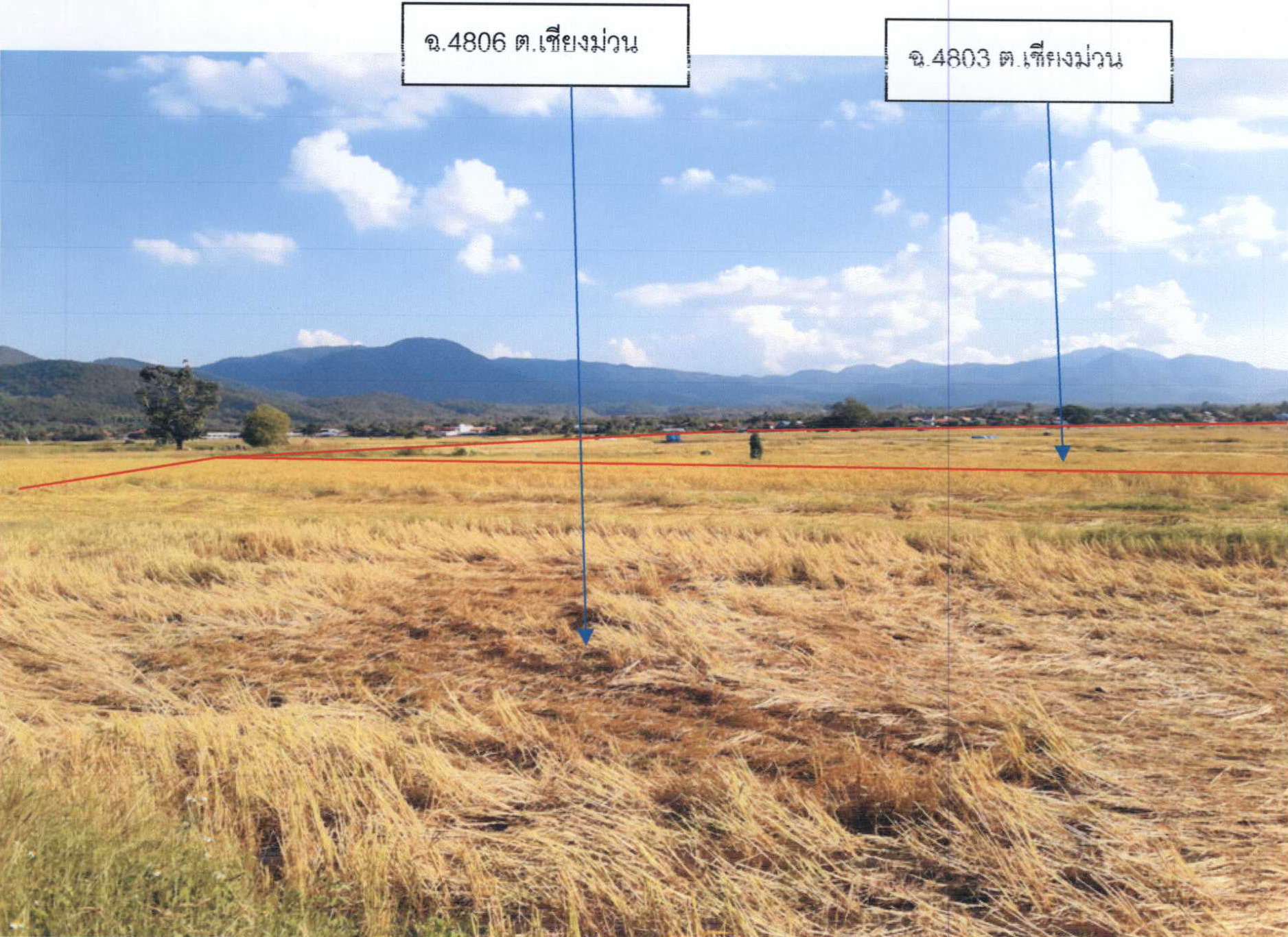 รูปที่ดินว่างเปล่า เชียงม่วน เชียงม่วน พะเยา