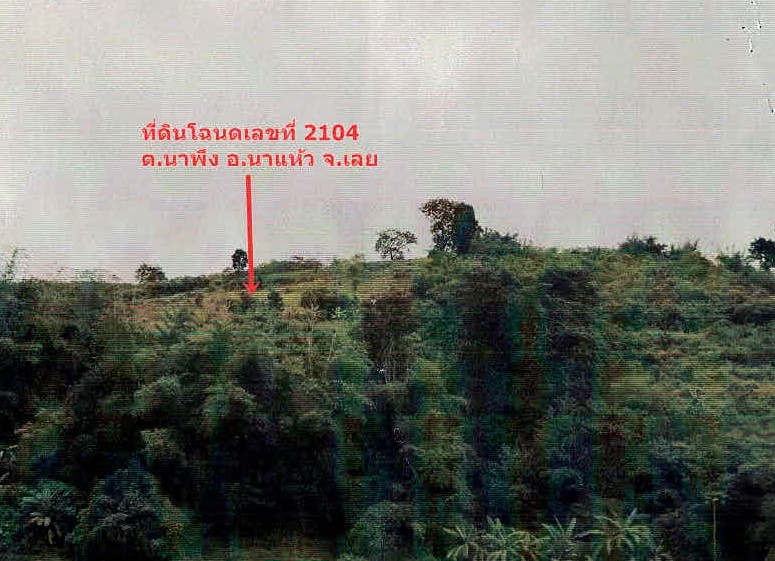 รูปที่ดินว่างเปล่า นาพึง นาแห้ว เลย