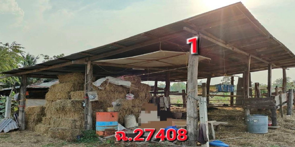 รูปที่ดินพร้อมสิ่งปลูกสร้าง หนองมะแซว เมืองอำนาจเจริญ อำนาจเจริญ