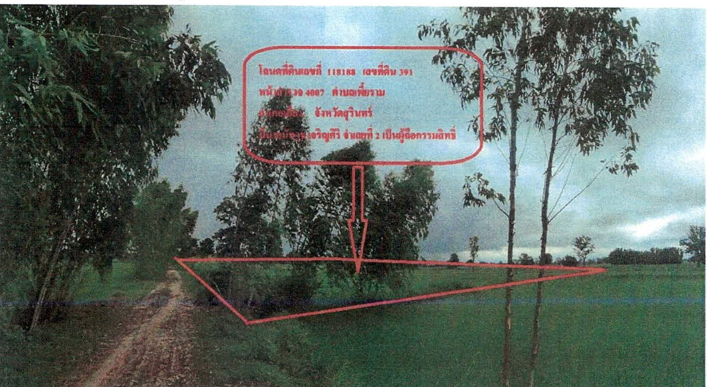 รูปที่ดินว่างเปล่า เพี้ยราม เมืองสุรินทร์ สุรินทร์