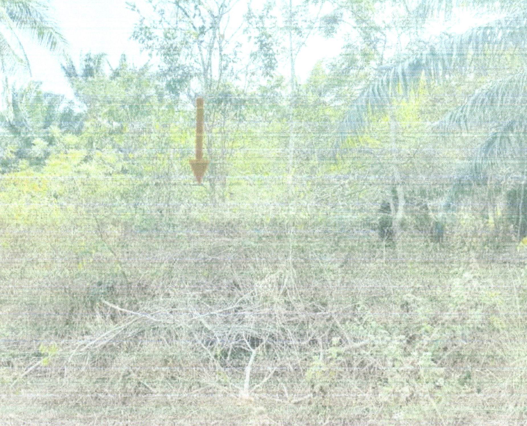รูปที่ดินว่างเปล่า ปากคลอง ปะทิว ชุมพร