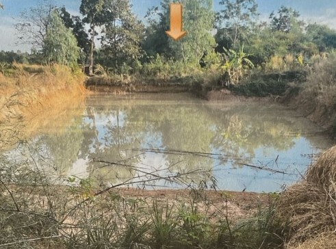 รูปที่ดินว่างเปล่า จุมพล โพนพิสัย หนองคาย