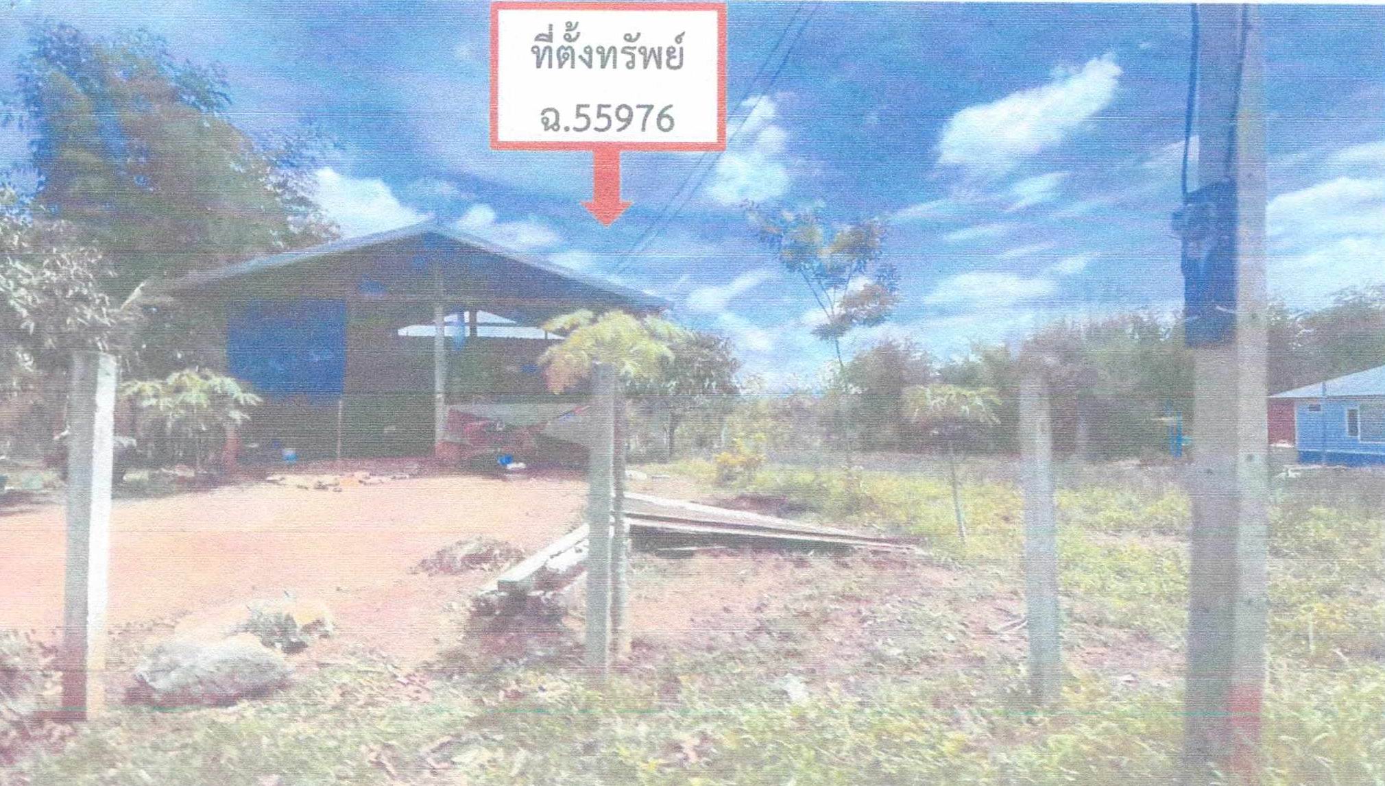 รูปที่ดินพร้อมสิ่งปลูกสร้าง นาดินดำ เมืองเลย เลย