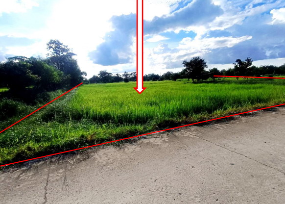 รูปที่ดินว่างเปล่า หัวเรือ เมืองอุบลราชธานี อุบลราชธานี