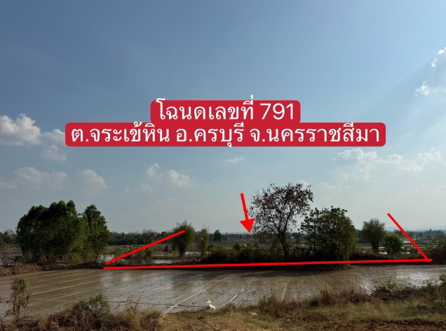 รูปที่ดินว่างเปล่า จระเข้หิน ครบุรี นครราชสีมา