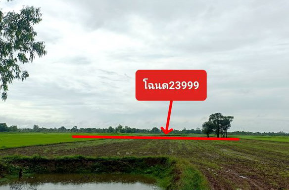 รูปที่ดินว่างเปล่า ชุมพลบุรี ชุมพลบุรี สุรินทร์