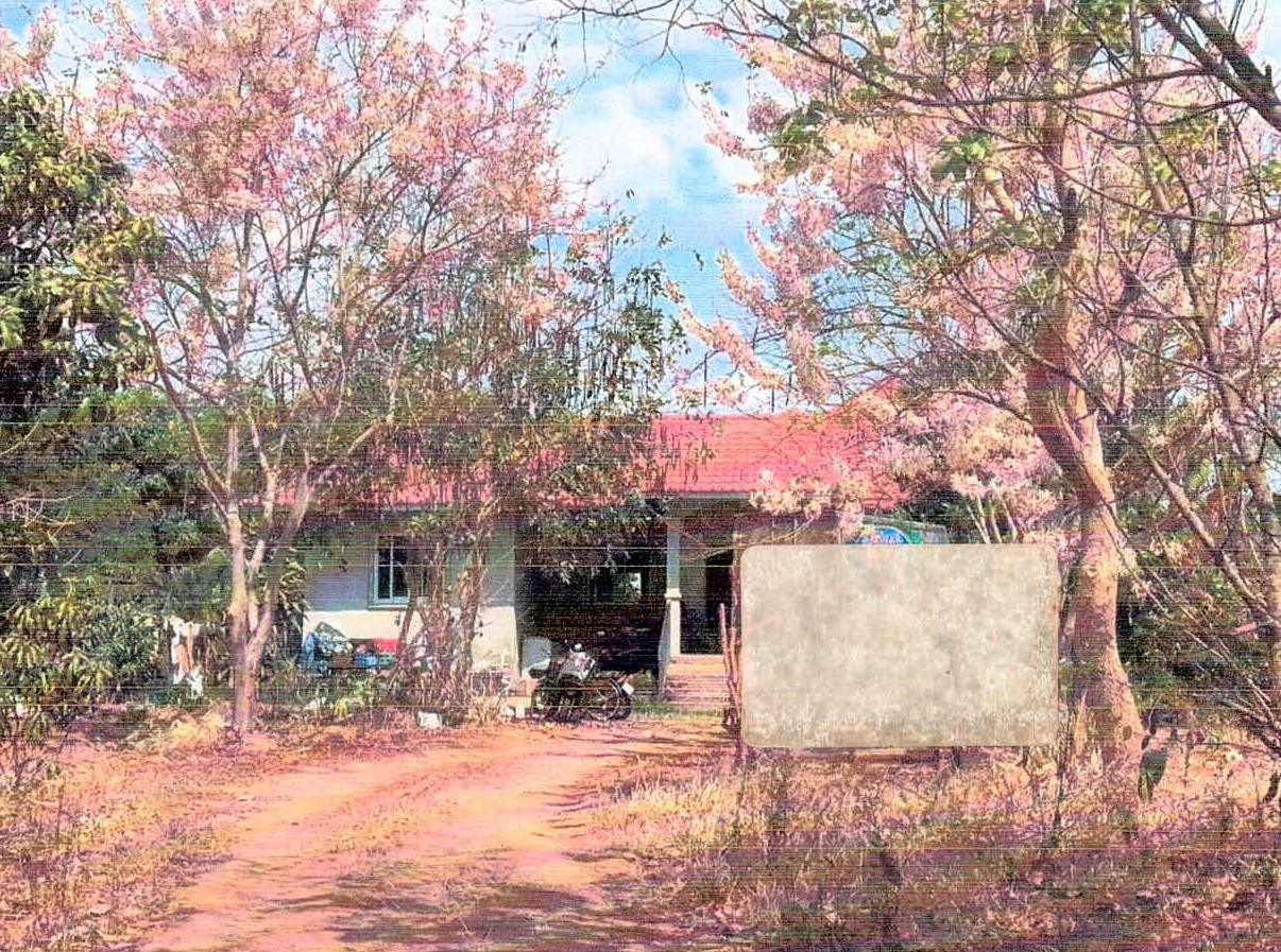 รูปที่ดินพร้อมสิ่งปลูกสร้าง หนองบัวระเหว หนองบัวระเหว ชัยภูมิ