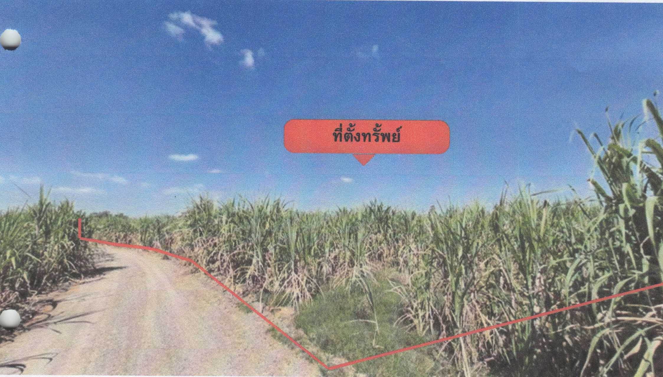 รูปที่ดินว่างเปล่า หนองโพ ตาคลี นครสวรรค์