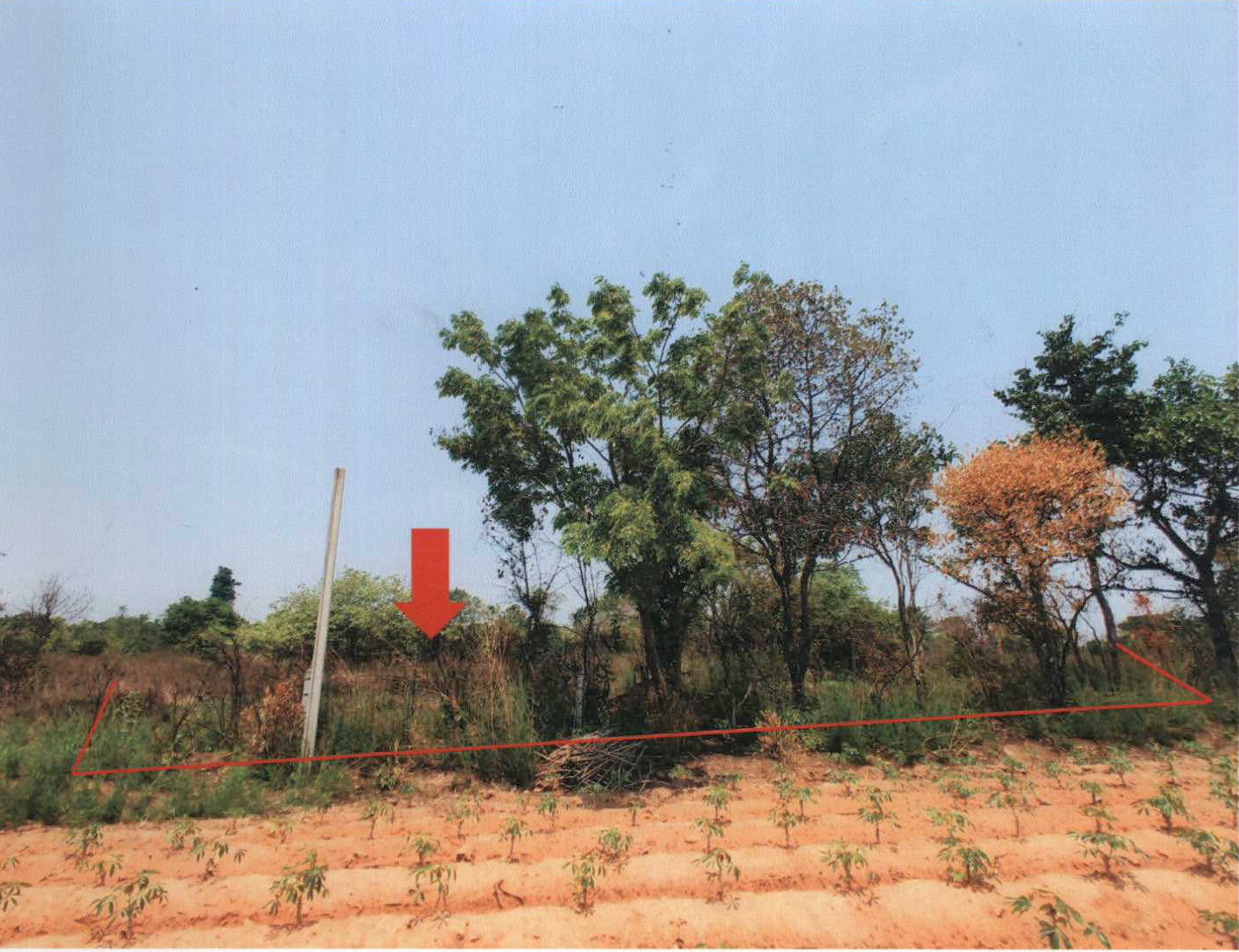 รูปที่ดินว่างเปล่า หนองไข่น้ำ เมืองนครราชสีมา นครราชสีมา