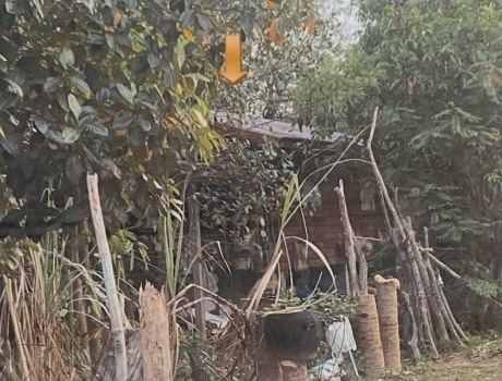 รูปที่ดินพร้อมสิ่งปลูกสร้าง โพนแพง รัตนวาปี หนองคาย