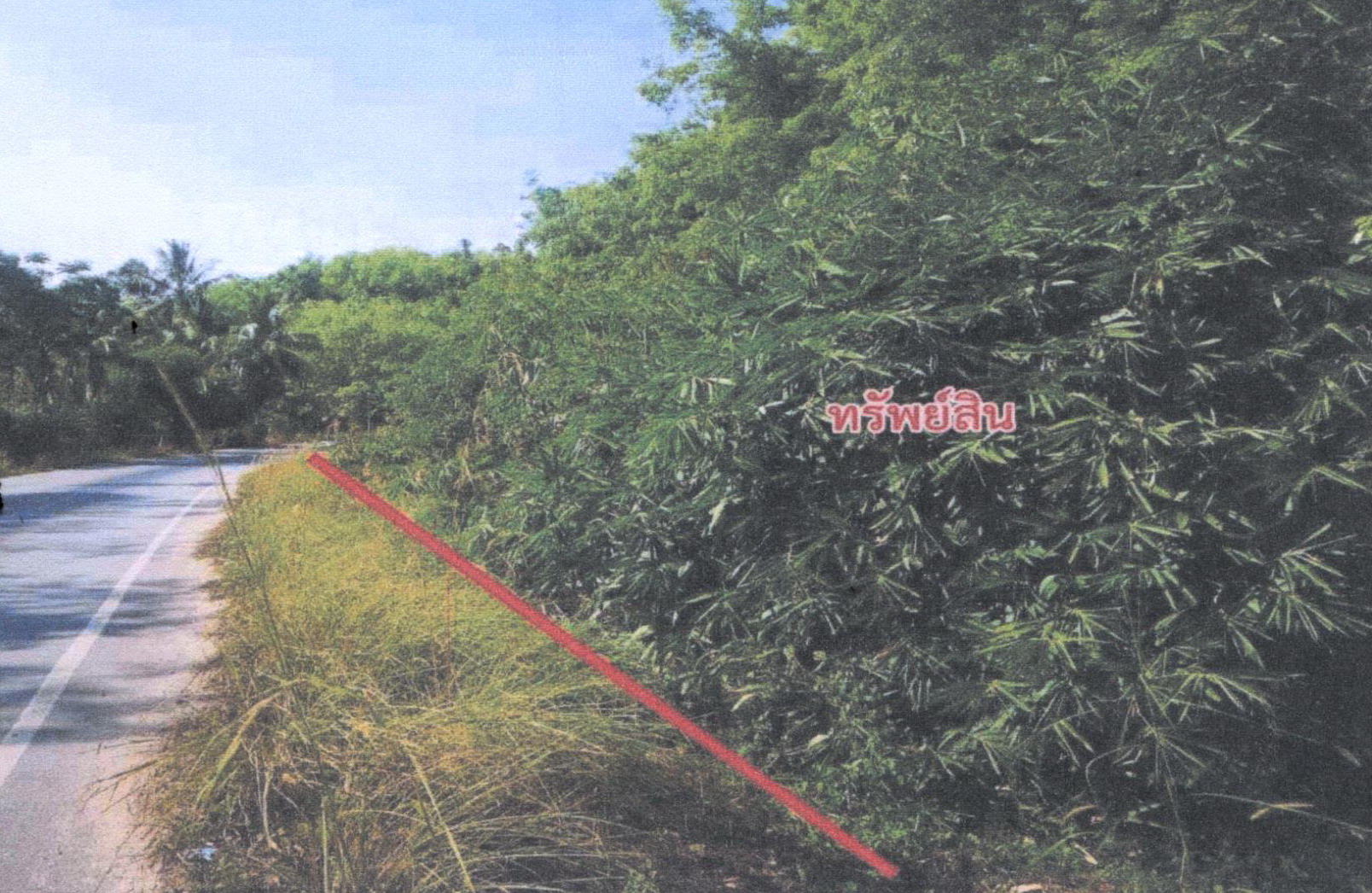 รูปที่ดินว่างเปล่า ท่าหมอไทร จะนะ สงขลา