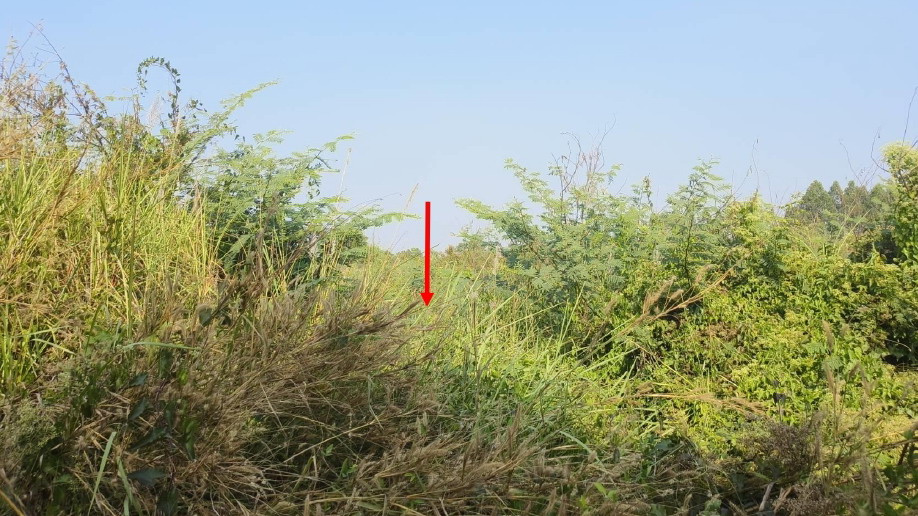 รูปที่ดินว่างเปล่า บ้านพริก บ้านนา นครนายก