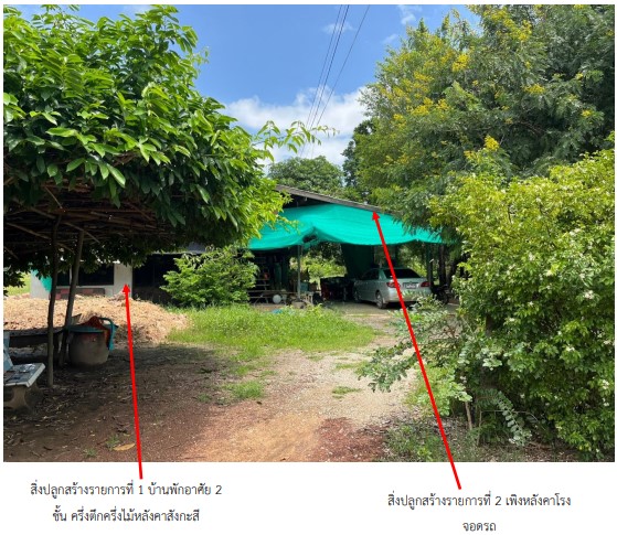 รูปที่ดินพร้อมสิ่งปลูกสร้าง สากเหล็ก สากเหล็ก พิจิตร