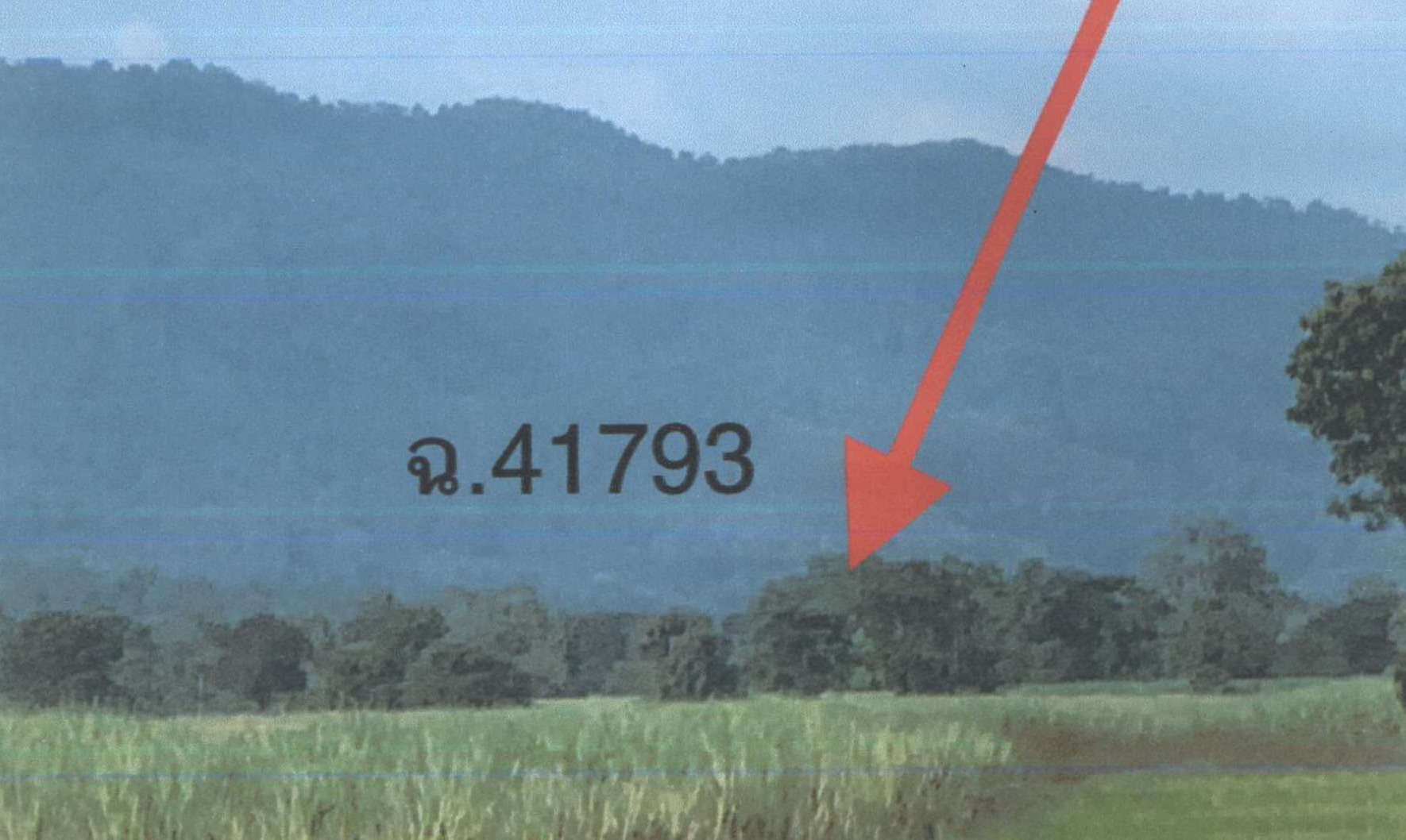 รูปที่ดินว่างเปล่า ด่านแม่คำมัน ลับแล อุตรดิตถ์