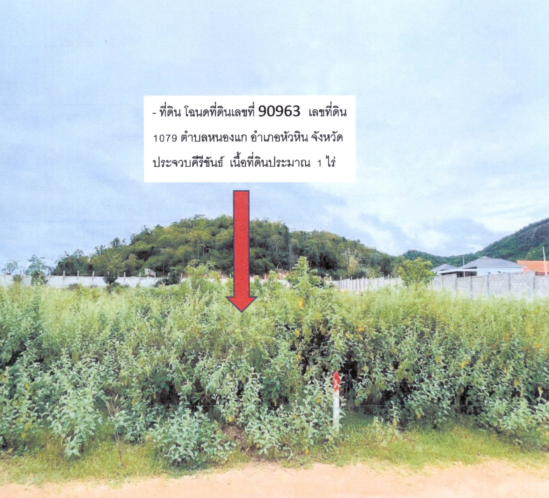รูปที่ดินว่างเปล่า หนองแก หัวหิน ประจวบคีรีขันธ์