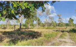 รูปที่ดินว่างเปล่า ห้วยข่า บุณฑริก อุบลราชธานี