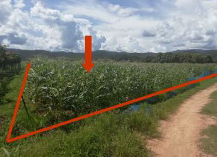 รูปที่ดินว่างเปล่า ป่าไหน่ พร้าว เชียงใหม่