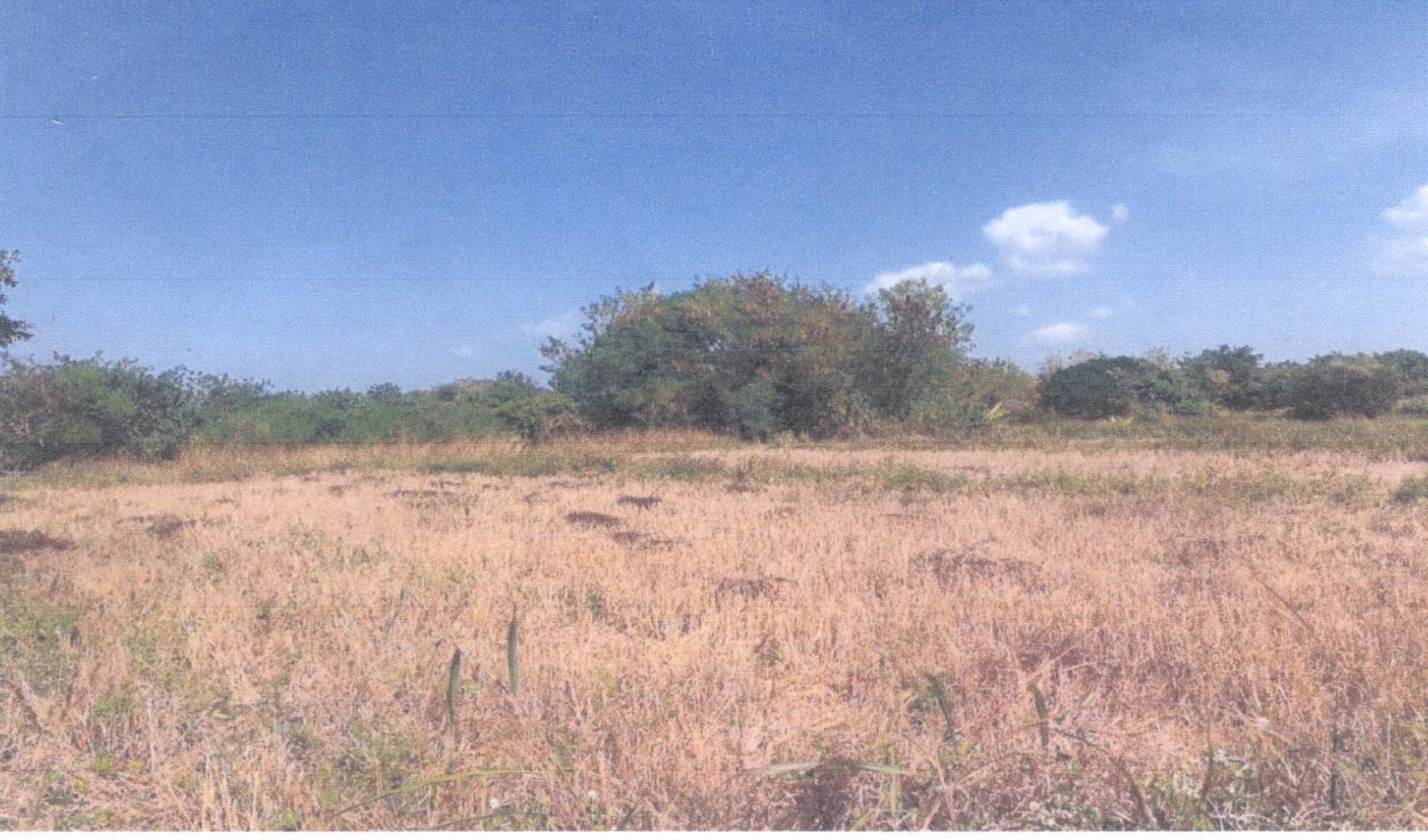 รูปที่ดินว่างเปล่า บ้านหนุน สอง แพร่