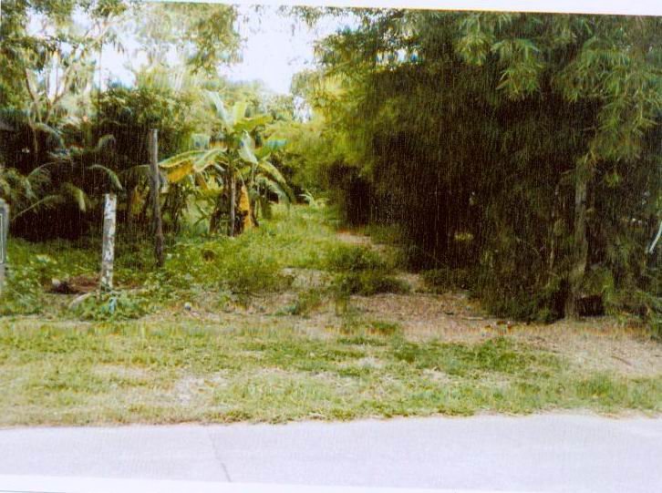 รูปที่ดินว่างเปล่า เพ เมืองระยอง ระยอง