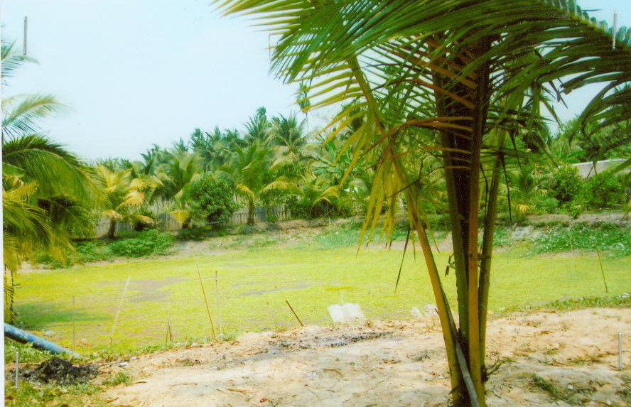 รูปที่ดินว่างเปล่า คลองจินดา สามพราน นครปฐม