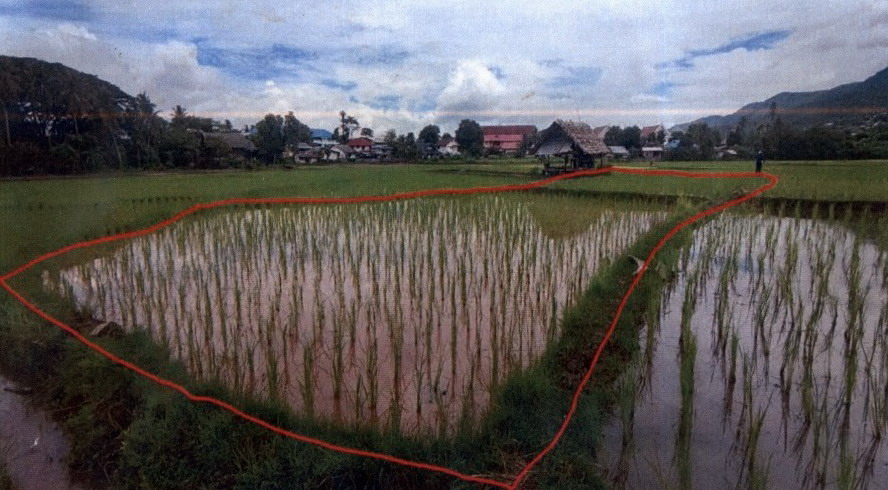 รูปที่ดินว่างเปล่า แม่สะเรียง แม่สะเรียง แม่ฮ่องสอน