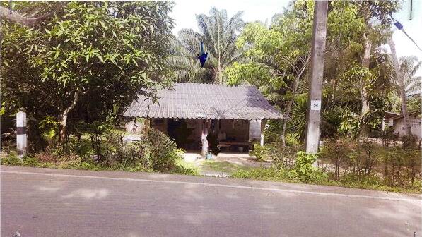 รูปที่ดินพร้อมสิ่งปลูกสร้าง ดินอุดม ลำทับ กระบี่