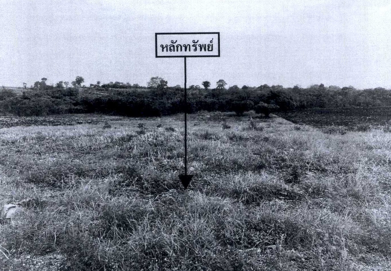 รูปที่ดินว่างเปล่า กันจุ บึงสามพัน เพชรบูรณ์