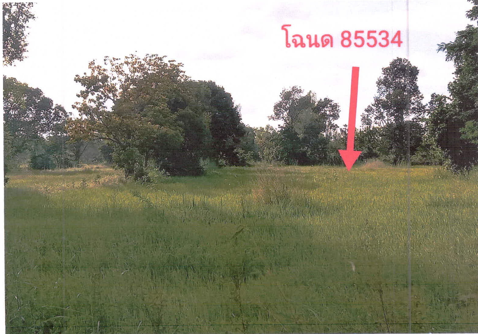 รูปที่ดินว่างเปล่า น้ำคำ เมืองศรีสะเกษ ศรีสะเกษ