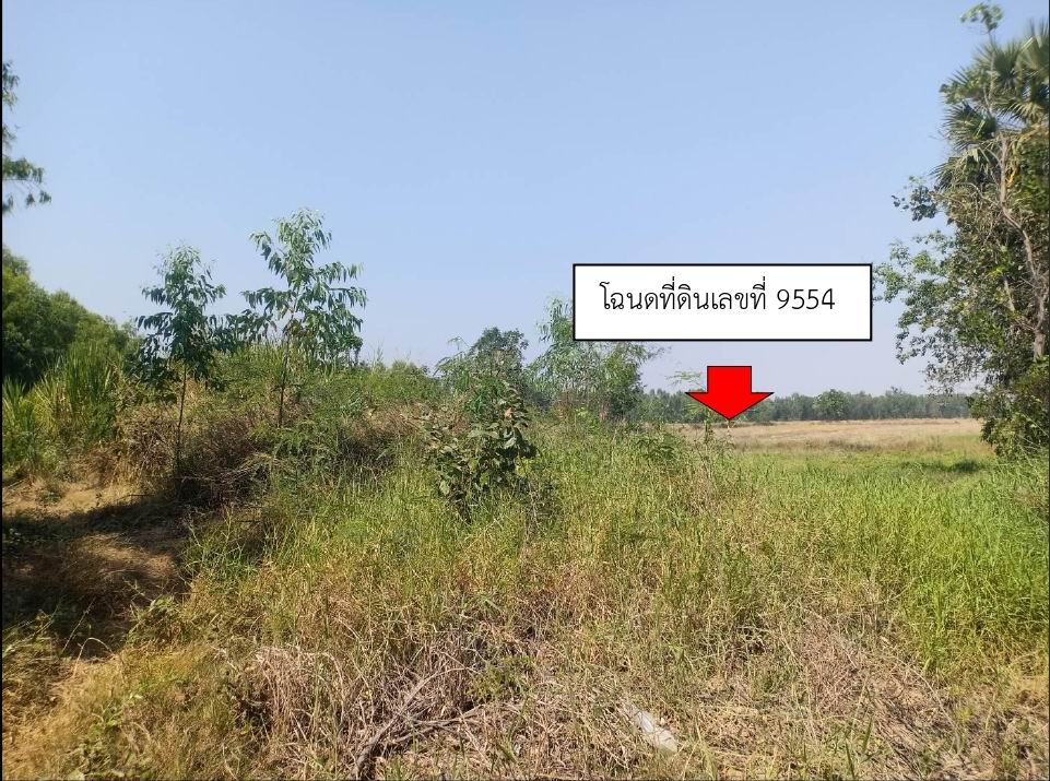 รูปที่ดินว่างเปล่า นาสนุ่น ศรีเทพ เพชรบูรณ์