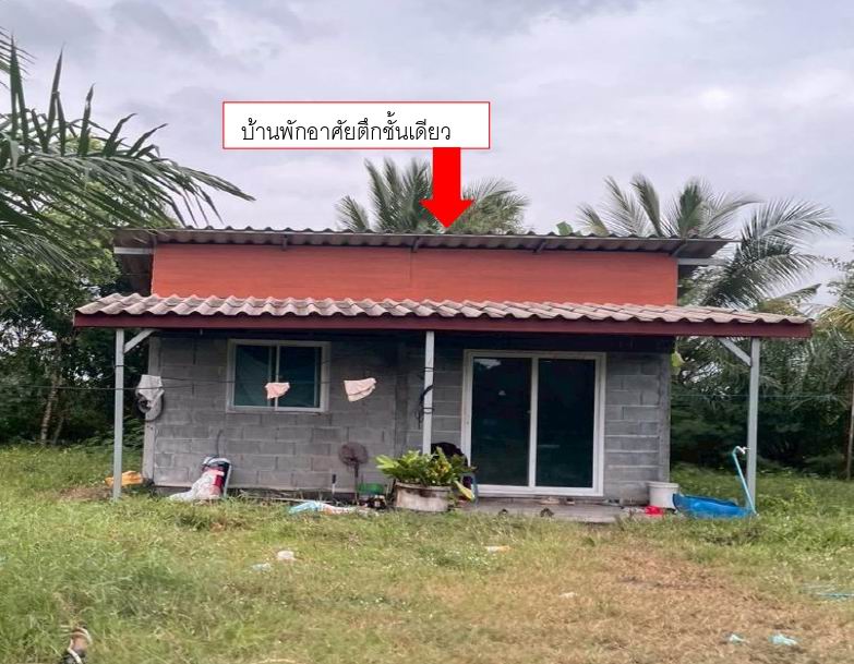 รูปที่ดินพร้อมสิ่งปลูกสร้าง หน้าสตน หัวไทร นครศรีธรรมราช