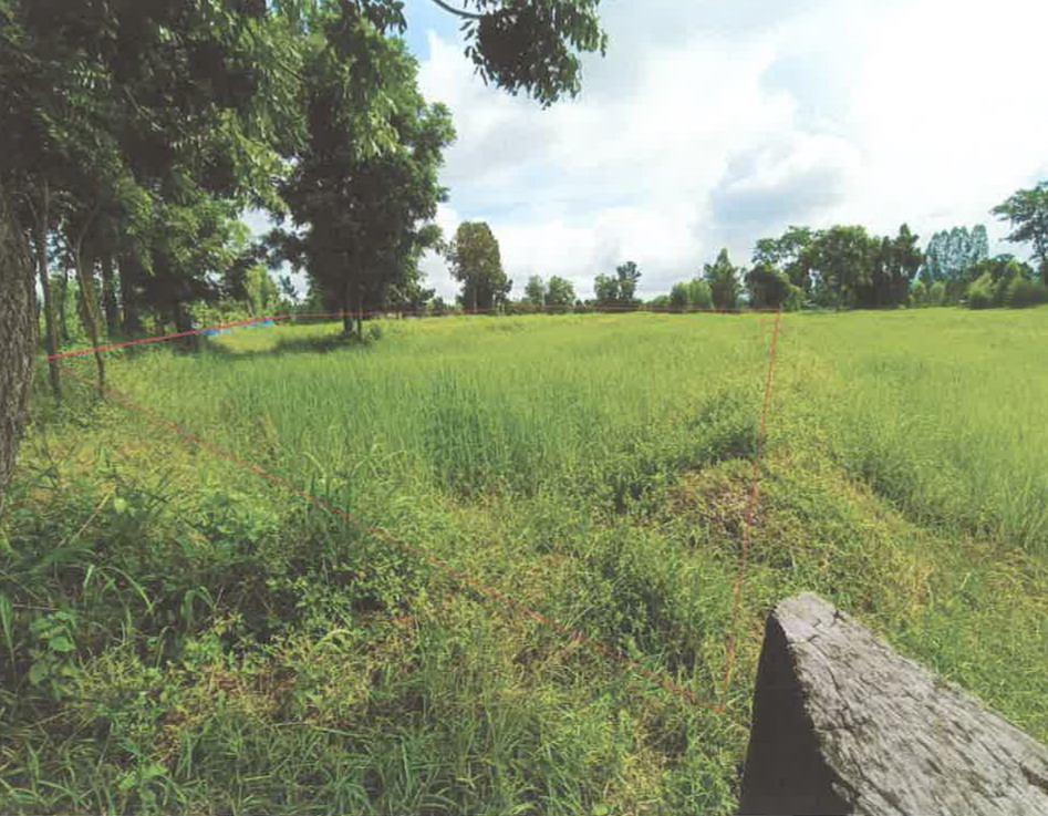 รูปที่ดินว่างเปล่า หนองกุงเซิน ภูเวียง ขอนแก่น