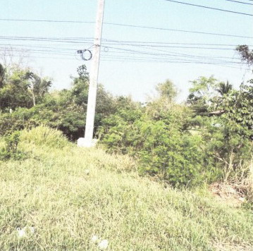 รูปที่ดินว่างเปล่า วังหิน โนนแดง นครราชสีมา