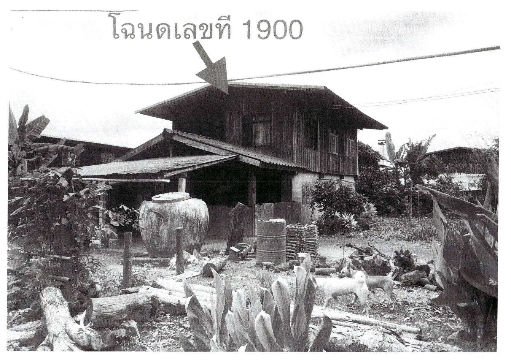 รูปที่ดินพร้อมสิ่งปลูกสร้าง ป่าคาหลวง บ้านหลวง น่าน