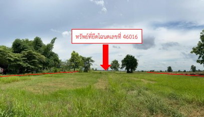 รูปที่ดินว่างเปล่า ดงประคำ พรหมพิราม พิษณุโลก