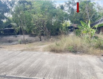 รูปที่ดินพร้อมสิ่งปลูกสร้าง หนองกระทุ่ม ทัพทัน อุทัยธานี