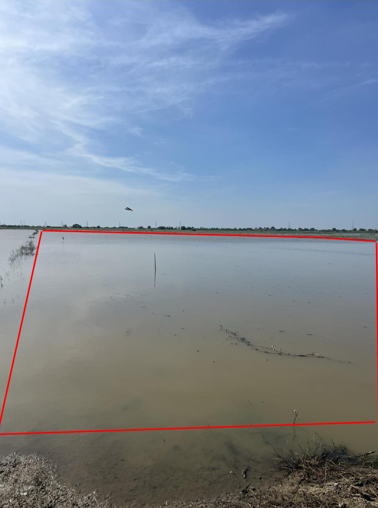 รูปที่ดินว่างเปล่า บางจัก วิเศษชัยชาญ อ่างทอง